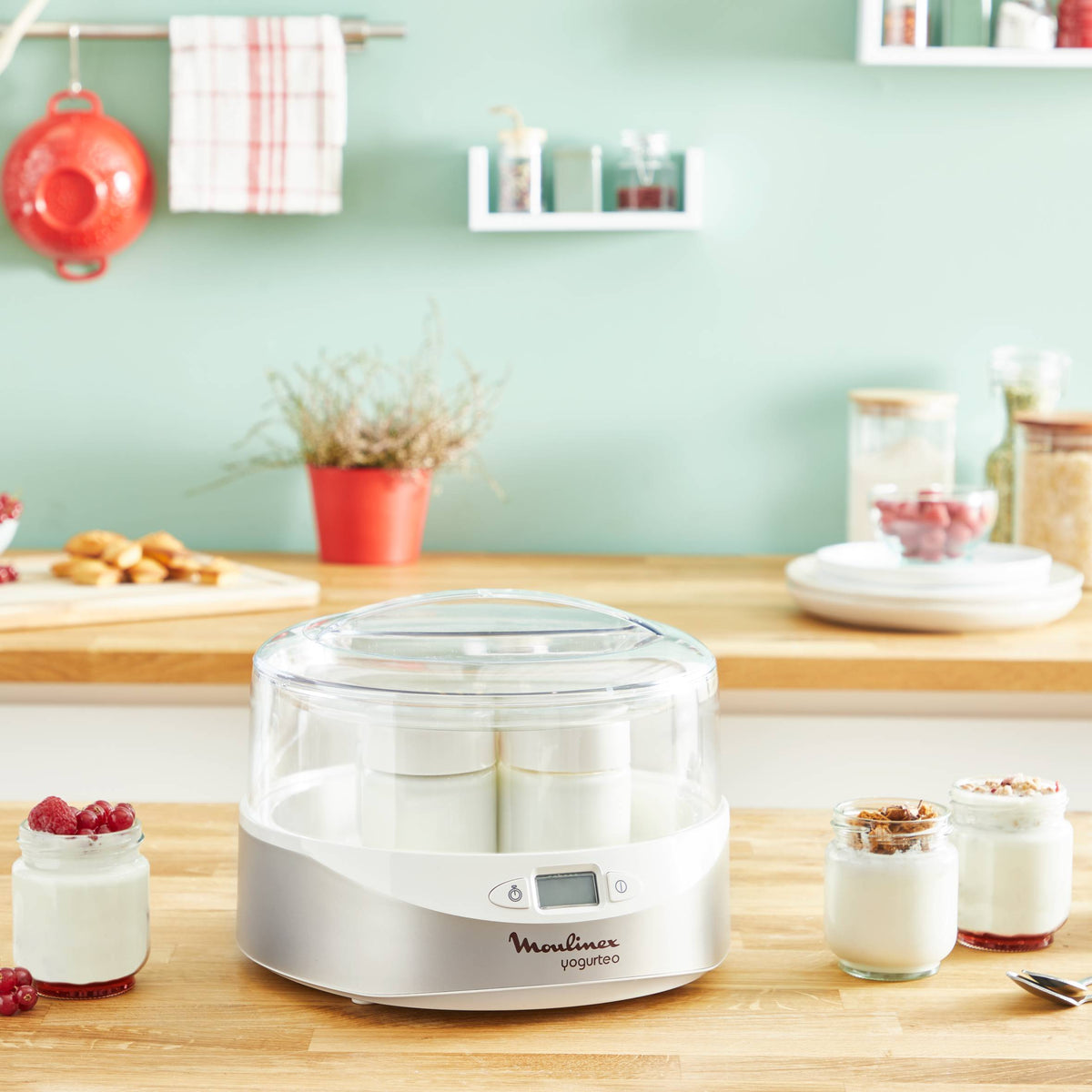 Yogurteo - image 3